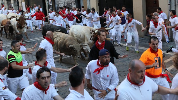 Sexto encierro de las fiestas de San Fermín con toros de la Ganadería Núñez del Cuvillo en Pamplona. Sexto encierro de las fiestas de San Fermín con toros de la Ganadería Núñez del Cuvillo en Pamplona.