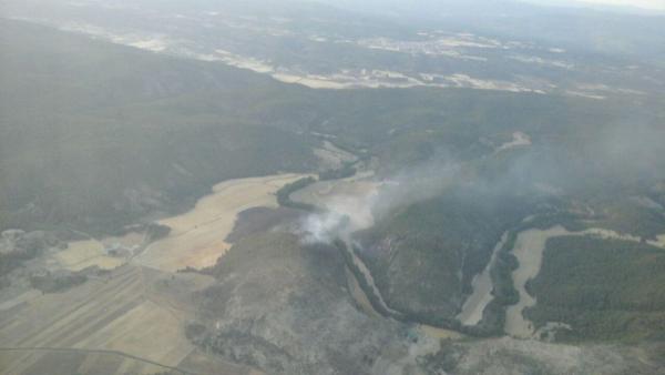 Incendio en Paracuellos (Cuenca) Incendio en Paracuellos (Cuenca)