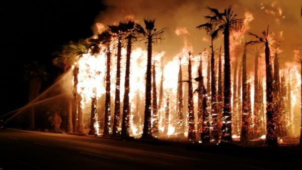 Uno de los incendios que supuestamente provocó el pirómano. Uno de los incendios que supuestamente provocó el pirómano.