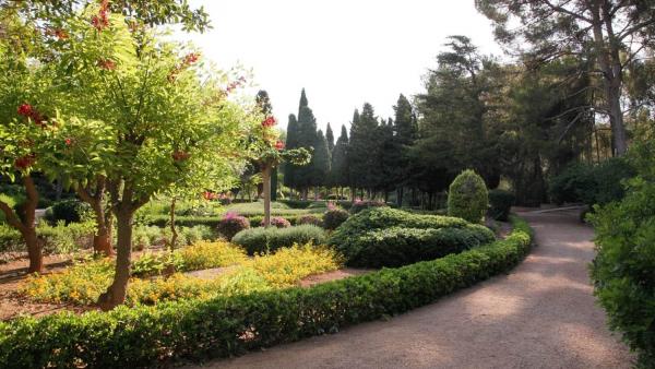 Imagen de los jardines de Marivent Imagen de los jardines de Marivent