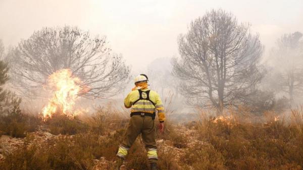 Continuen les labors d'extinció en l'incendi forestal de Beneixama (Alacant) Continuen les labors d'extinció en l'incendi forestal de Beneixama (Alacant)