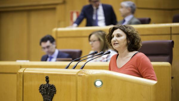Pilar Garrido, diputada de Unidas Podemos Pilar Garrido, diputada de Unidas Podemos
