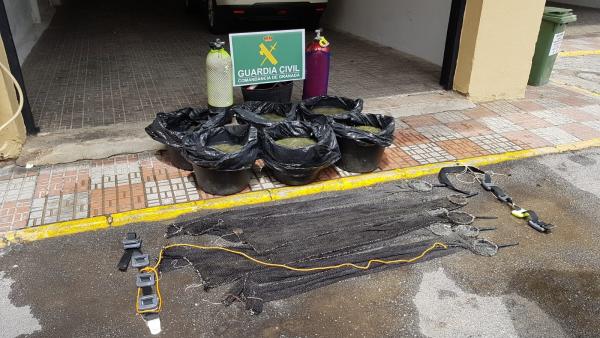 Intervenidas 206 kilos de anémonas de mar capturadas ilegalmente en Almuñécar (Granada) Intervenidas 206 kilos de anémonas de mar capturadas ilegalmente en Almuñécar (Granada)