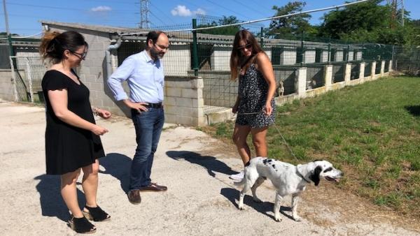 Proyectos Refugio Canino Torres Proyectos Refugio Canino Torres