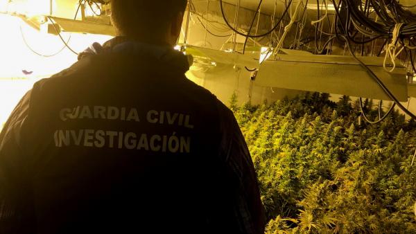 Plantación de marihuana intervenida en Santa Fe (Granada) Plantación de marihuana intervenida en Santa Fe (Granada)