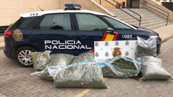 Carga de marihuana hidropónica interceptada por la Policía Nacional. Carga de marihuana hidropónica interceptada por la Policía Nacional.