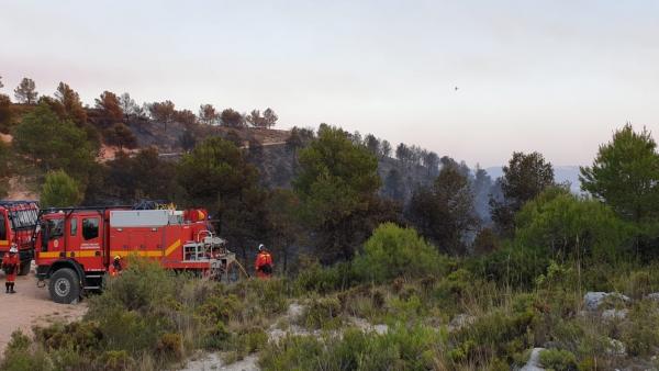 Fulgencio assegura que es plantegen "de forma seriosa" que l'incendi de Beneixama siga intencionat Fulgencio assegura que es plantegen "de forma seriosa" que l'incendi de Beneixama siga intencionat