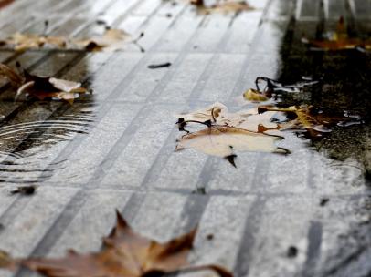 Imagen de recurso de hojas caídas por el otoño en Madrid.