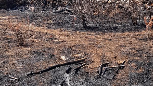 Investiguen un home per un incendi forestal a Sant Mateu després de cremar restes de poda Investiguen un home per un incendi forestal a Sant Mateu després de cremar restes de poda