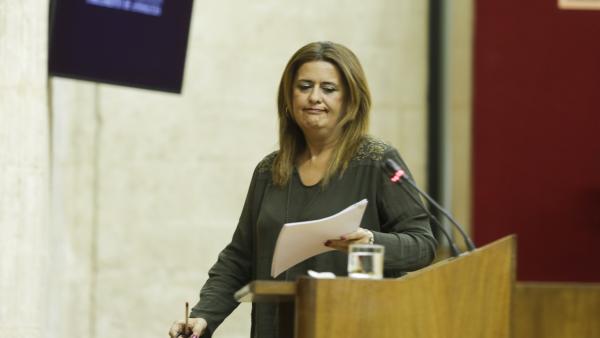 La diputada socialista Sonia Gaya, en una imagen de archivo. La diputada socialista Sonia Gaya, en una imagen de archivo.