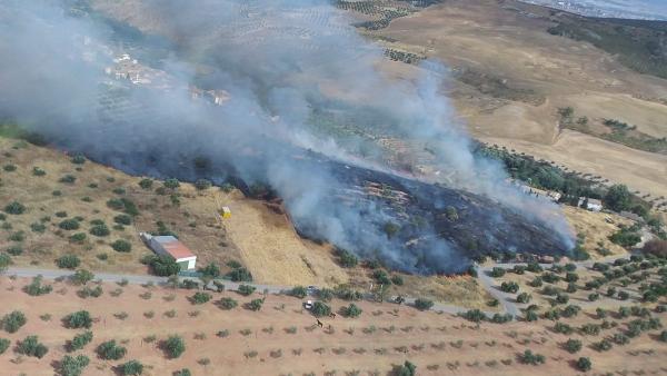 Paraje incendiado de Calicasas Paraje incendiado de Calicasas