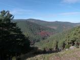 Paisaje del Parque Natural de Sierra de Cebollera, en La Rioja.