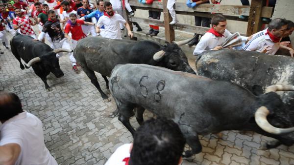 Cientos de personas corren en el último encierro de los Sanfermines 2019 en Pamplona (Navarra). Cientos de personas corren en el último encierro de los Sanfermines 2019 en Pamplona (Navarra).