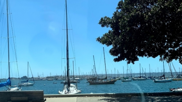 Puerto de los Angeles Puerto de los Angeles
