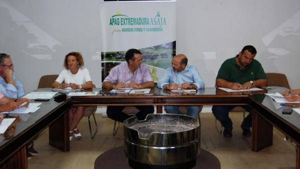 Sectorial del vino Sectorial del vino