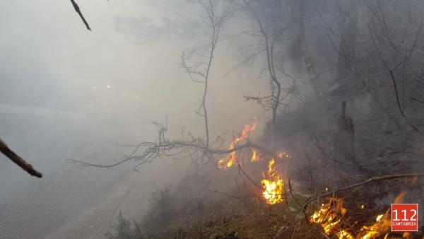 Incendios forestales Incendios forestales