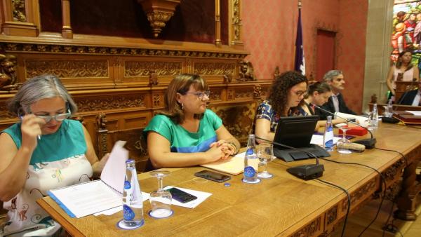 La presidenta del Consell de Mallorca, Catalina Cladera, en el primer pleno de la legislatura La presidenta del Consell de Mallorca, Catalina Cladera, en el primer pleno de la legislatura