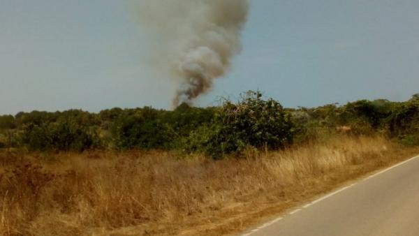 Imagen del incendio que ha afectado a media hectárea de pinar en Sant Joan de Labritja, en Ibiza Imagen del incendio que ha afectado a media hectárea de pinar en Sant Joan de Labritja, en Ibiza