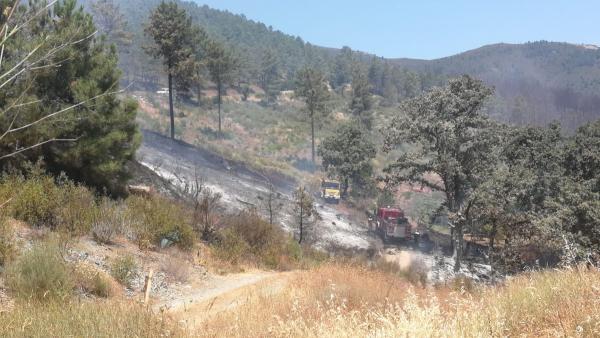 Trabajos de retenes del Infoex en el incendio en Torrecilla de los Ángeles Trabajos de retenes del Infoex en el incendio en Torrecilla de los Ángeles