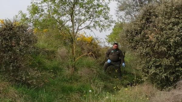 Lugar en el que los Agentes Rurales encontraron el cadáver del perro. Lugar en el que los Agentes Rurales encontraron el cadáver del perro.