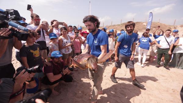 La tortuga del Mediterráneo despierta una gran simpatía. La tortuga del Mediterráneo despierta una gran simpatía.