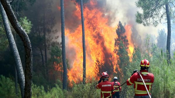 Incendios en Portugal Incendios en Portugal