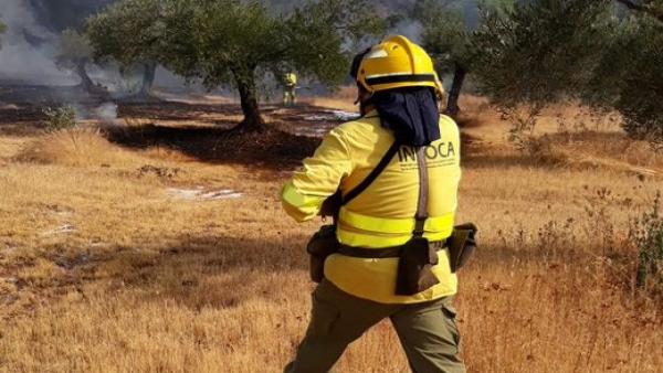 Un bombero forestal en el incendio de Espiel Un bombero forestal en el incendio de Espiel