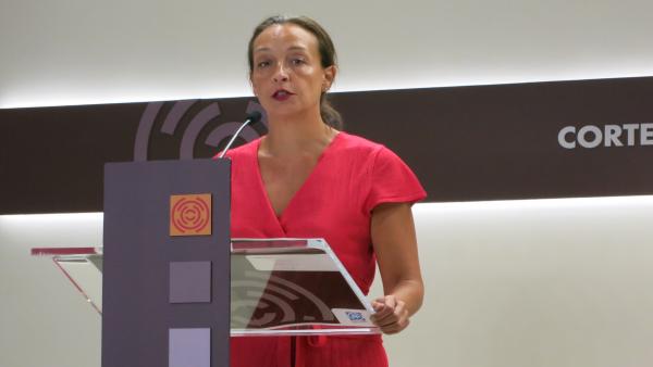 La diputada del PP, Carmen Susín. La diputada del PP, Carmen Susín.