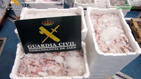 Pescado inmaduro intervenido Pescado inmaduro intervenido