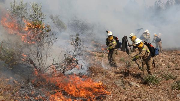 Incendios Portugal Incendios Portugal