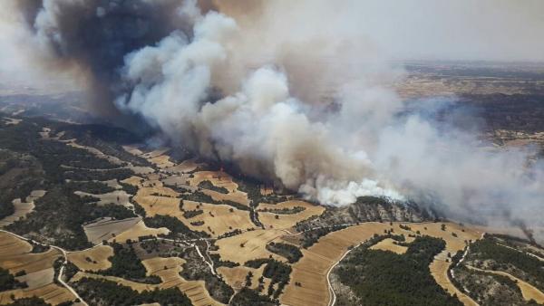 Incendio forestal Incendio forestal