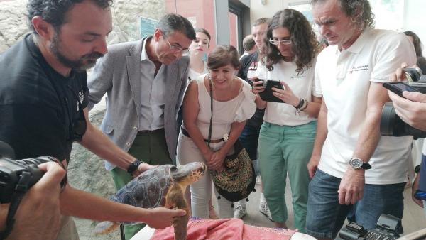 Suelta de una tortuga boba tratada en el Centro de Recuperación de Especies Marinas Amenazadas Suelta de una tortuga boba tratada en el Centro de Recuperación de Especies Marinas Amenazadas
