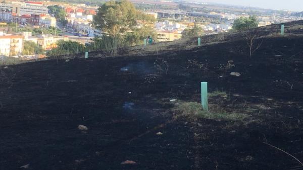 NNuevo incendio en la ladera del Carambolo NNuevo incendio en la ladera del Carambolo