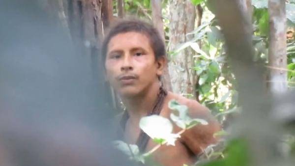 Un miembro de la tribu Awá descubre que está siendo observado. Un miembro de la tribu Awá descubre que está siendo observado.