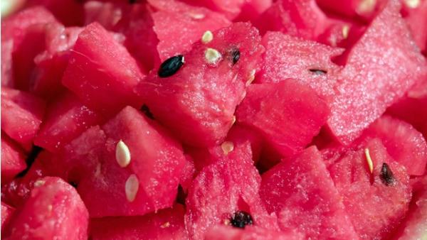 Sandia Sandia