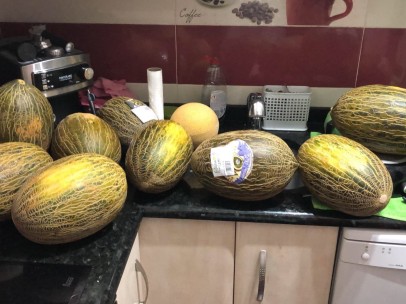Este tuitero se equivocó al pedir la compra por internet y, en lugar de comprar 1 melón, marcó 12