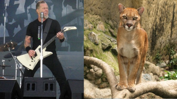 James Hetfield James Hetfield