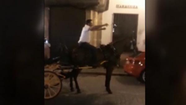 Cochero de caballos en Sevilla Cochero de caballos en Sevilla