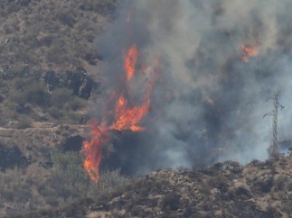 Vista de uno de los focos del incendio de Gran Canaria.