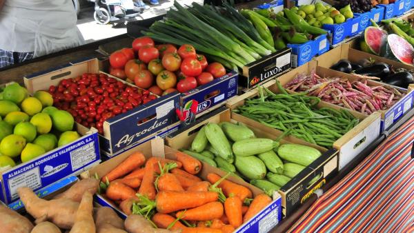 Verduras Verduras