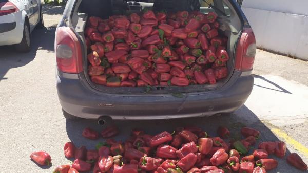 Pimientos rojos asados incautados. Pimientos rojos asados incautados.