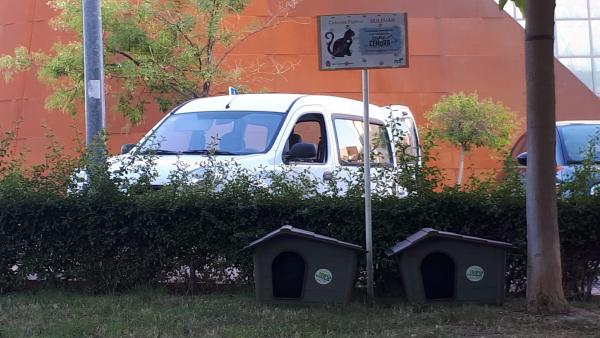 Casetas con gatos instaladas en el Bulevar. Casetas con gatos instaladas en el Bulevar.