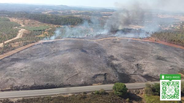 Incendio en Valverde del Camino. Incendio en Valverde del Camino.
