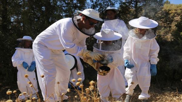 Apiturismo en la Comarca de Gúdar-Javalambre, en la provincia de Teruel. Apiturismo en la Comarca de Gúdar-Javalambre, en la provincia de Teruel.