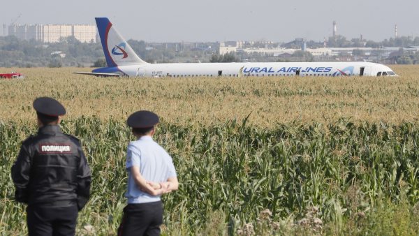 Un avión aterriza en un maizal Un avión aterriza en un maizal
