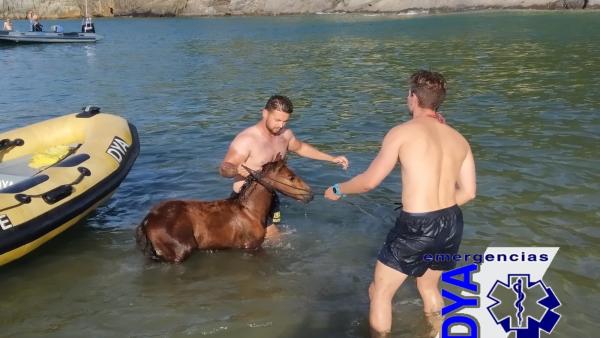 La DYA rescata a un potrillo de una zona de acantilados La DYA rescata a un potrillo de una zona de acantilados