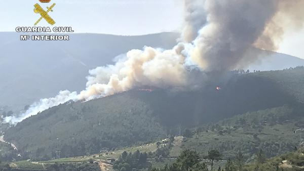 Incendio forestal Incendio forestal