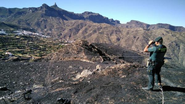 Un guardia civil observa la zona afectada por el incendio de Gran Canaria Un guardia civil observa la zona afectada por el incendio de Gran Canaria