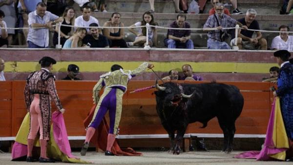 Imagen de una corrida de toros en Palma. Imagen de una corrida de toros en Palma.