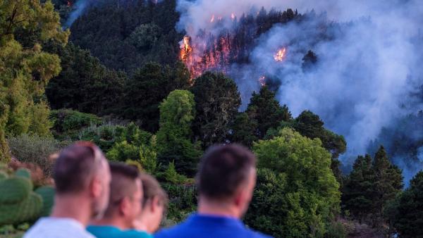 Incendio de Gran Canaria Incendio de Gran Canaria